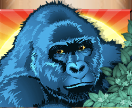 gorilla